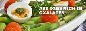 Are eggs rich in oxalates